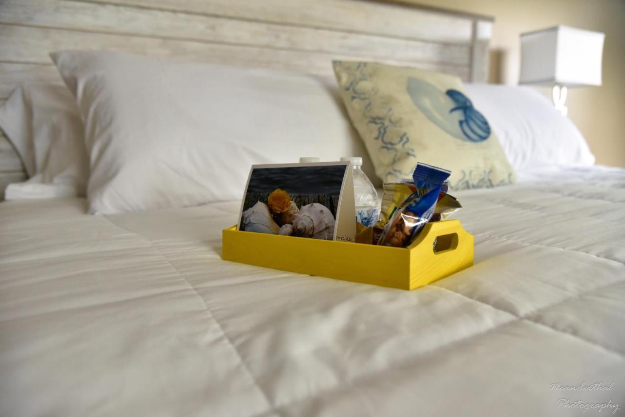 The Yellow Rose Of Talbot Bed And Breakfast 伊斯顿 外观 照片
