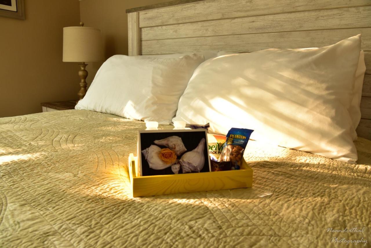 The Yellow Rose Of Talbot Bed And Breakfast 伊斯顿 外观 照片