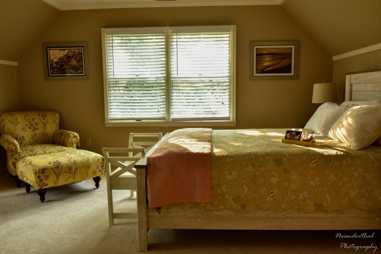 The Yellow Rose Of Talbot Bed And Breakfast 伊斯顿 外观 照片