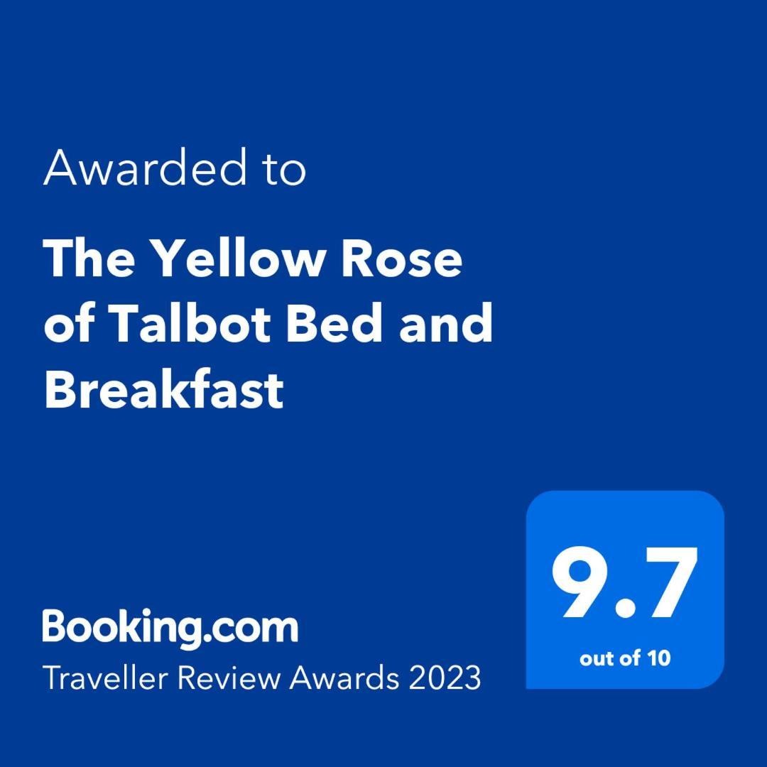 The Yellow Rose Of Talbot Bed And Breakfast 伊斯顿 外观 照片